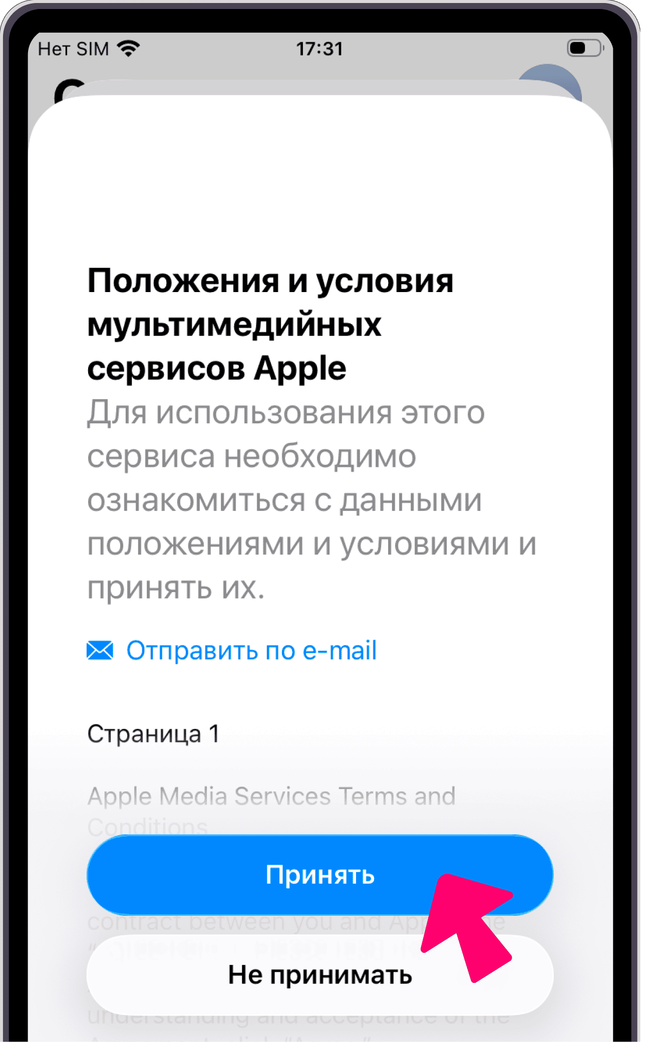 Экран условий Apple с кнопкой Принять